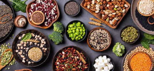 benefits of plant based protiens